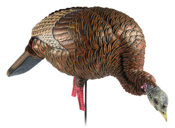 145400 Avian X HDR Feeding Hen Turkey Decoy, Lifesize