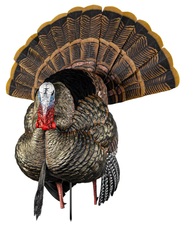 145401 Avian X HDR Strutter Turkey Decoy