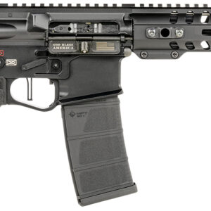 Patriot Ordnance Factory REN+ Pistol, 10.5in, .300 AAC Blackout