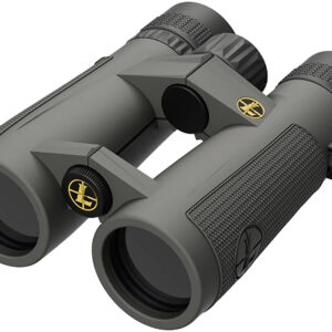 Leupold BX-5 Santiam HD 8×42 Binoculars, Shadow Gray