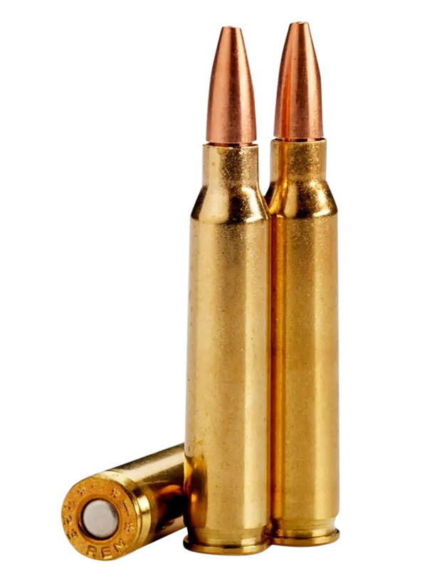 Lehigh Defense Controlled Chaos LA22355CC 223Rem 55gr 20/Box