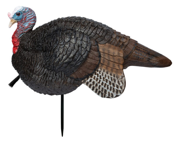 151769 Primos Lil’ Gobstopper Jake Turkey Decoy