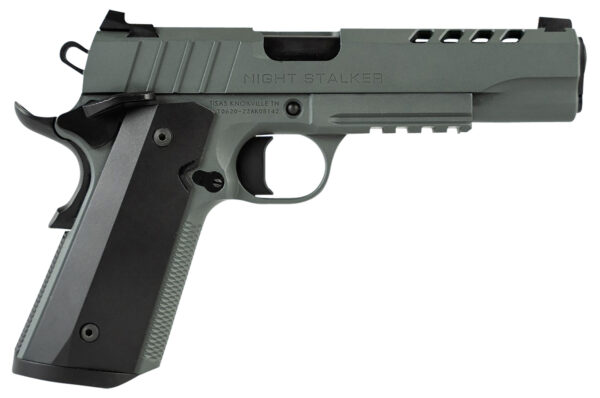152728 Tisas 1911 Night Stalker .45 ACP 5″ Platinum Grey