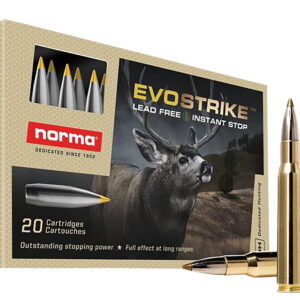 Norma Evostrike .30-06 Springfield 139 gr PTBT — 20/Box