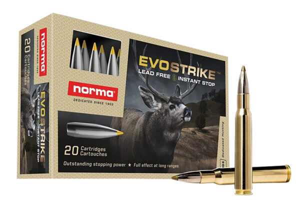 Norma Evostrike .30-06 Springfield 139 gr PTBT — 20/Box