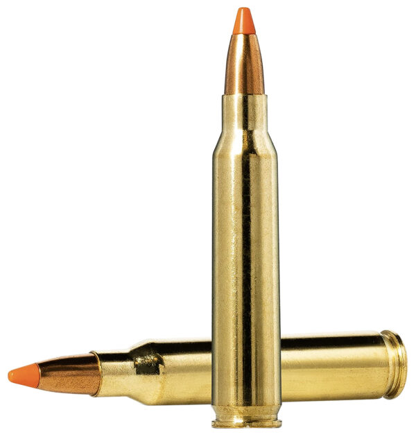 Norma TipStrike .223 Rem 55 gr Polymer Tip, 20rd