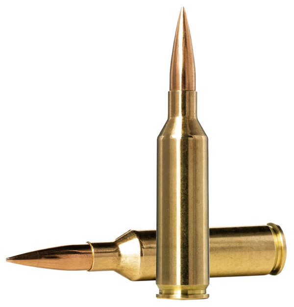 156108 Norma Golden Target 6.5 PRC 143 gr HPBT — 20 Rounds