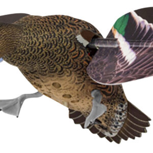 Avian X PowerFlight Hen Green-Winged Teal Decoy