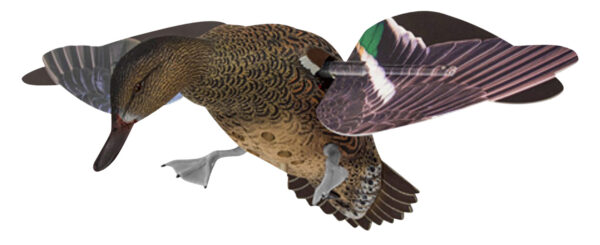 156942 Avian X PowerFlight Hen Green-Winged Teal Decoy