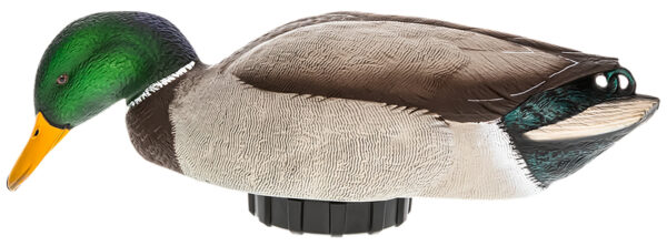 158288 Avian X Power Shaker Mallard Drake Surface Feeder Decoy