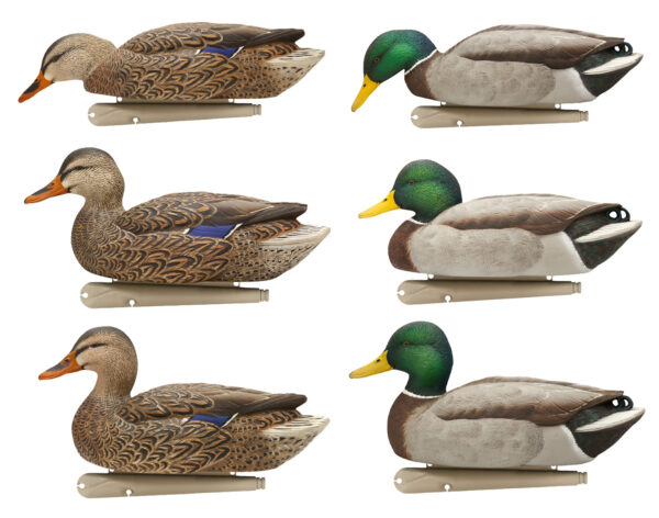 158291 Avian X AVXAVX8076 Topflight Fusion Mallards Multi-Color -6 Pack