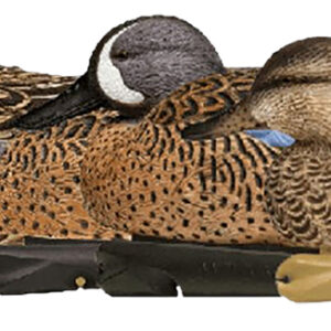 Avian X Topflight Blue-Winged Teal Decoys — 6 Pack