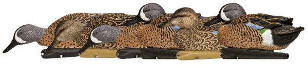Avian X Topflight Blue-Winged Teal Decoys — 6 Pack