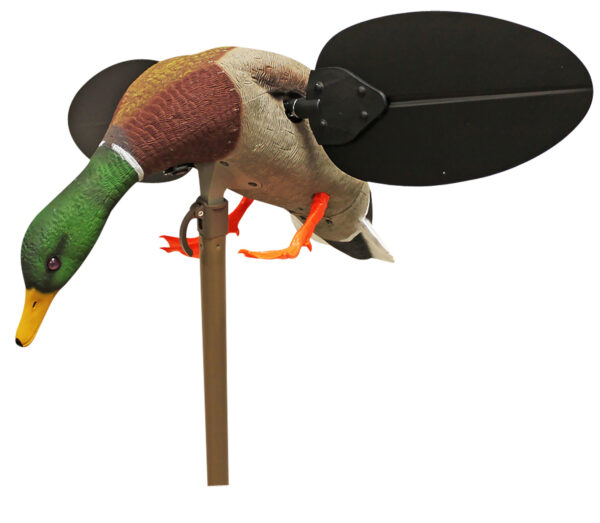 Mojo Mallard Drake Decoy with Remote, Li-ion