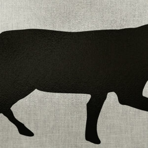 Allen EZ Aim Thermal ID Coyote Target 24×12 Grey