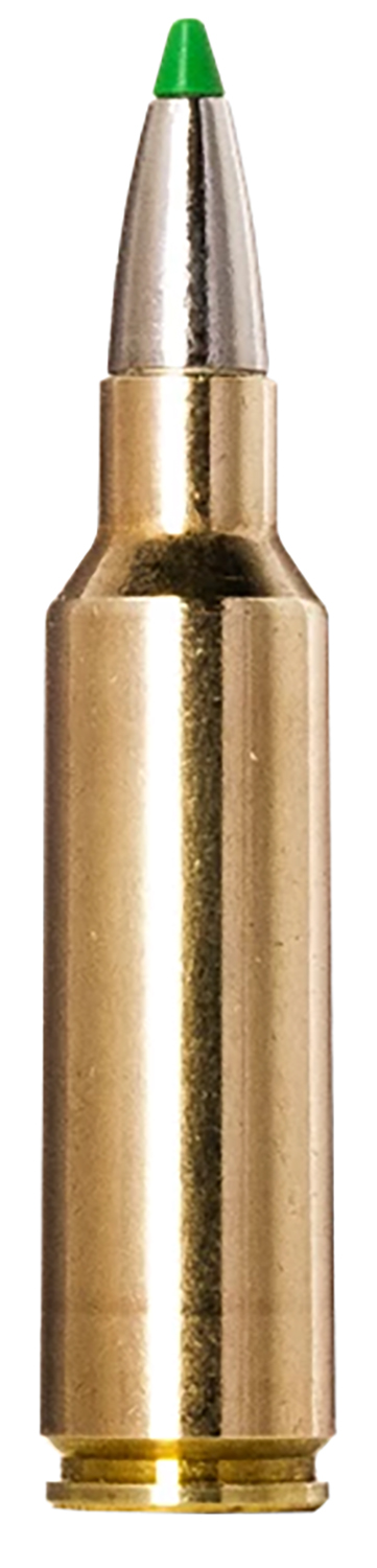 Norma EcoStrike .300 WSM 165gr PT 20/ct