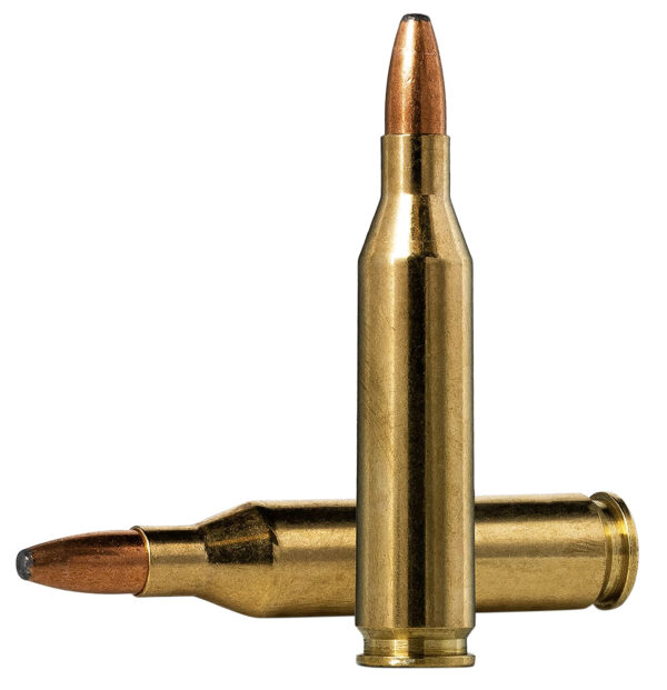 Norma Oryx .243 Win 100 gr – 20/Box