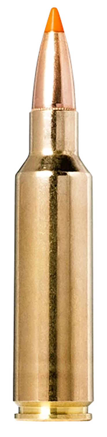 Norma TipStrike .300 WSM 170gr 20/ct