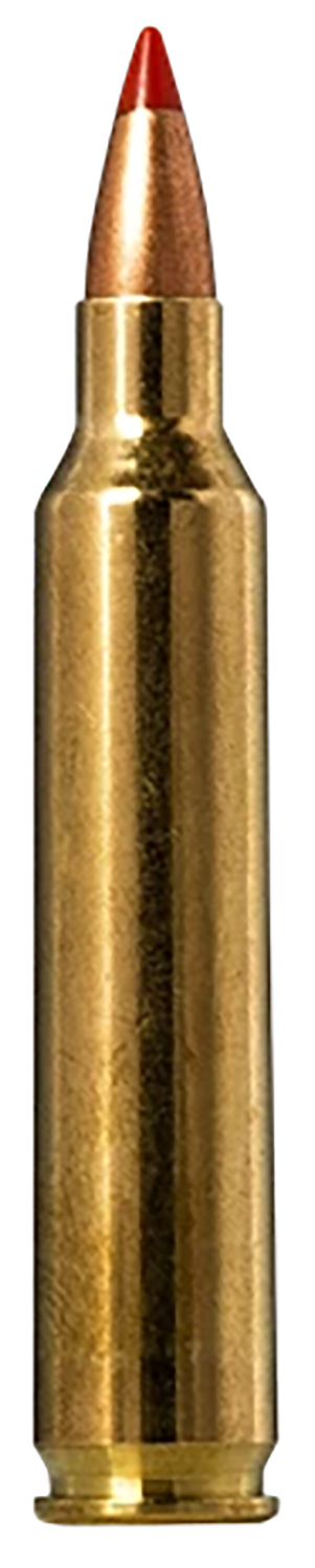 Norma TipStrike .204 Ruger 40 gr – 20rd Box