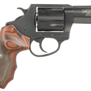 Charter Arms Bulldog .44 Special 2.5in Black Passivate 5rd