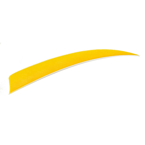 16517_1 Trueflight Shield Cut Feathers Yellow 4 in. LW 100 pk.