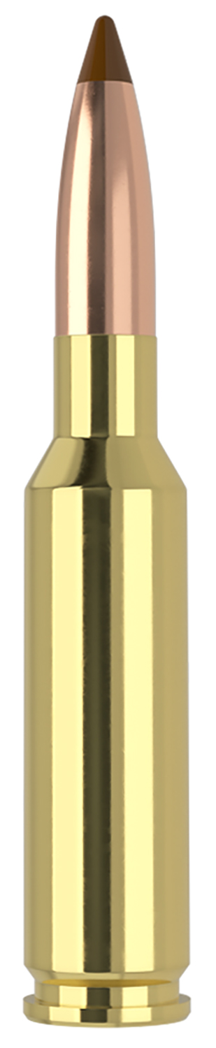 Nosler 61053 6.5×55 Swedish 140gr Ballistic Tip, 20/Box