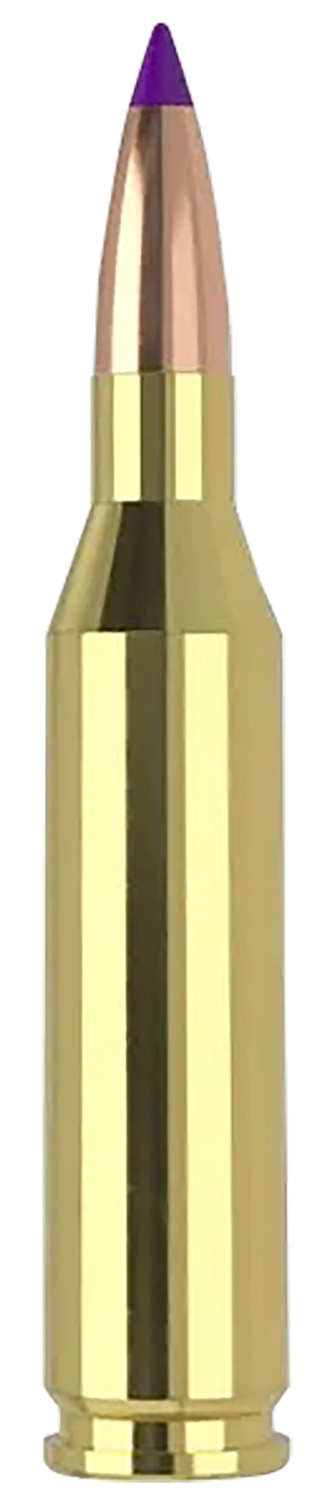 165842 Nosler .243 Win 70gr Ballistic Tip Varmint 20/Box