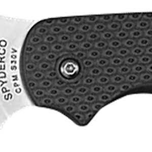 Spyderco C123PBK Sage 5 Lightweight Alzheimer’s 3″ Folding Plain Satin CPM S30V SS Blade, Black Textured FRN Handle