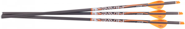 168058 Ravin Crossbows R133 Match Weight Lighted Arrows 400GR .003″ 3 Pack