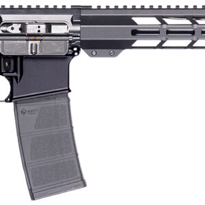 Patriot Ordnance Factory 02317  P-15 Base 5.56 NATO 10+1 16.50″ Black Anodized A2 Style Grip *California Compliant