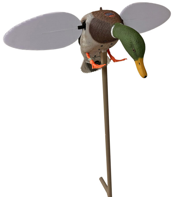 177256 Mojo Outdoors HW2025 Silver Mallard 25th Anniversary Multi-Color
