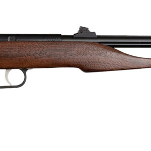 Davey Crickett Crickett 41001 .22 Magnum 9-inch Single Shot