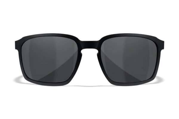 Wiley X Alfa M/L Smoke Gray Lens, Matte Black Frame