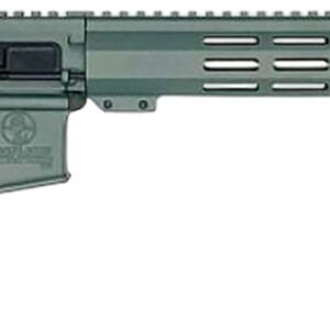 GLFA GL15223SS CHG      223 WYLDE RFL CHARCL GRN