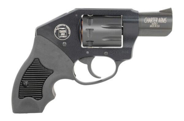 188679 Charter Arms 12221 Walker 22 LR 8 Shot 2″