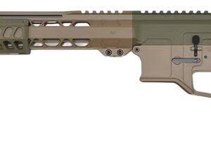 BILSON ARMS A6FSSFG20R1 BA15FC 22ARC 18in 20rd FDE/SNPGRN