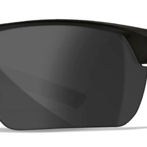 WILEYX 4004      GUARD ADVANCED         GRY/CLR/MB