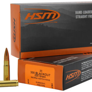 HSM 300BLK4N 300 AAC Blackout 220 gr – 20rd Box