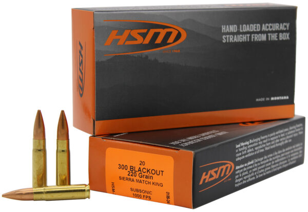 HSM 300BLK4N 300 AAC Blackout 220 gr – 20rd Box