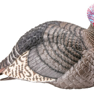 Hunters Specialties Strut-Lite Jake Turkey Decoy