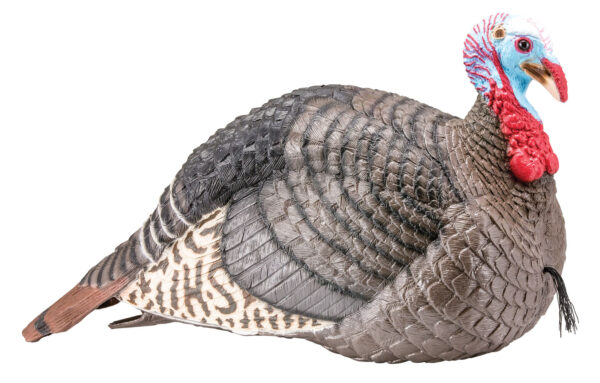 30713 Hunters Specialties Strut-Lite Jake Turkey Decoy