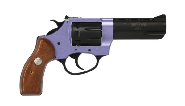 Charter Arms Pathfinder II .22 LR 3.5 in Revolver