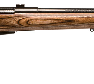 Savage 25 Lightweight Varminter .204 Ruger 24-inch Laminate