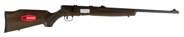 53088 Savage B22 G Bolt-Action Rifle .22 LR 21 in. Walnut