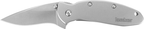 Kershaw Scallion 1620FL 2.4″ 420HC Drop Point Folding Knife