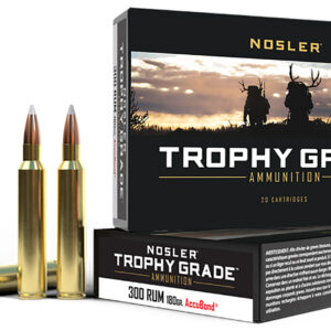 Nosler AccuBond .300 RUM 180 gr, 20/Box