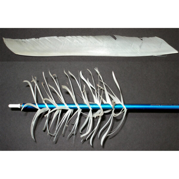 OLYMPUS DIGITAL CAMERA Trueflight Spiral Wrap Flu-Flu Feathers White RW 100 pk.