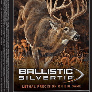 Winchester Ballistic Silvertip .300 Win Mag 180 gr 20rd