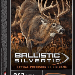 Winchester Ballistic Silvertip 243 Win 55 gr, 20 rd