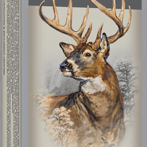 Winchester Power-Point 243 WSSM 100 gr, 20rd